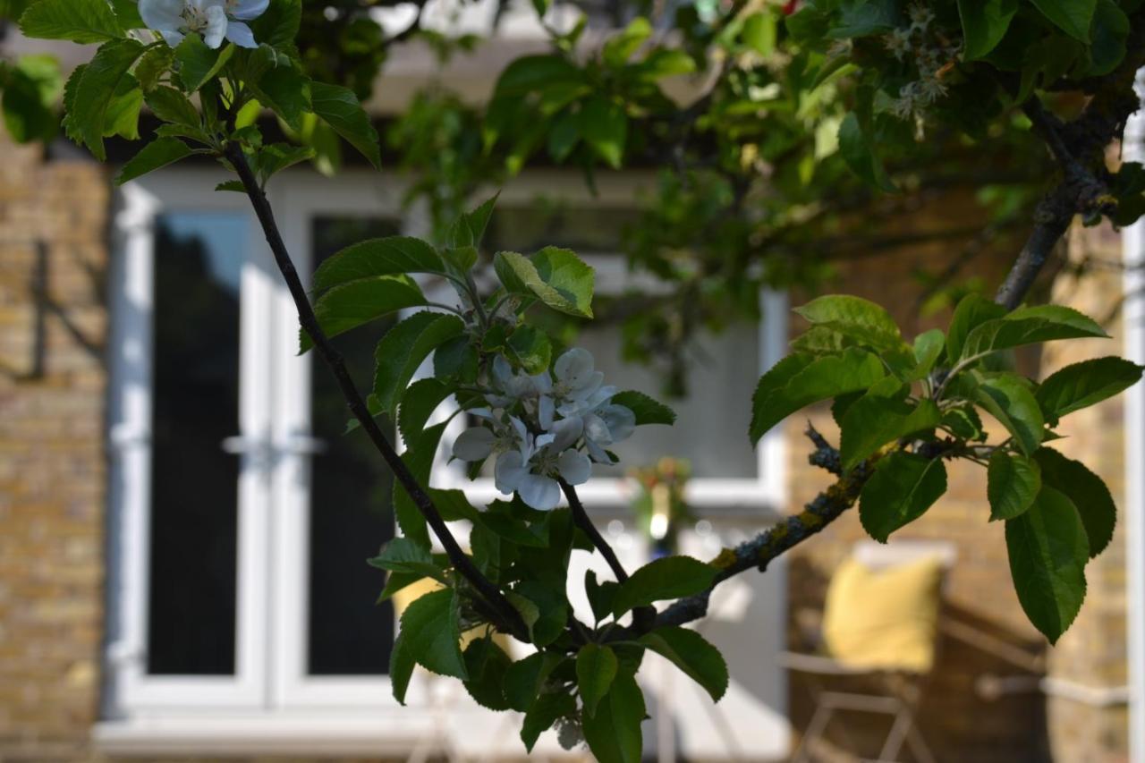 Epicsa - Family & Corporate Stay Mews Apartments With Free Parking Cambridge  Ngoại thất bức ảnh